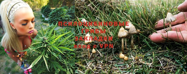 наркотики Дегтярск