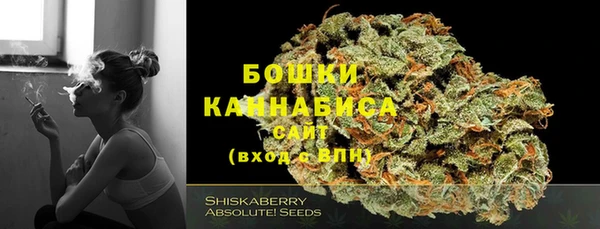 прущие крисы Осинники