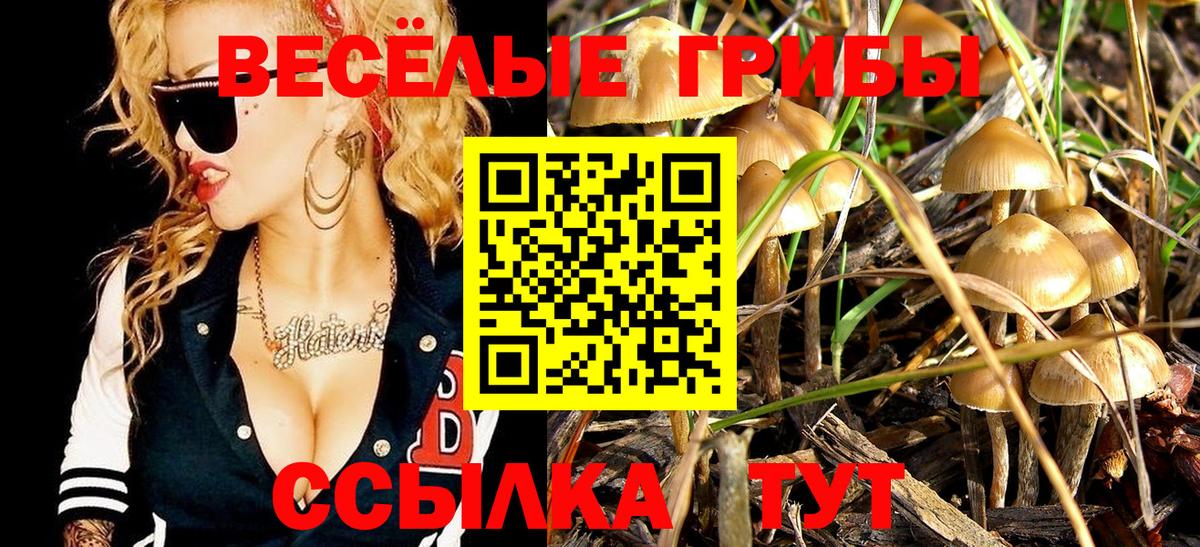 Галлюциногенные грибы GOLDEN TEACHER Сатка