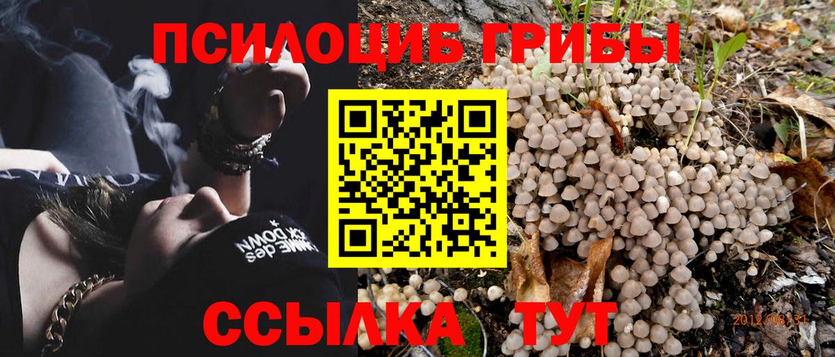 Сатка  купить наркотики цена  Вход с VPN  Галлюциногенные грибы Psilocybe 