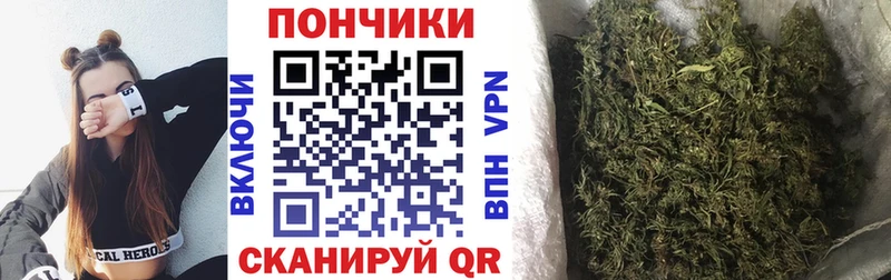 Канабис гибрид Сатка